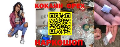 сатива Моздок