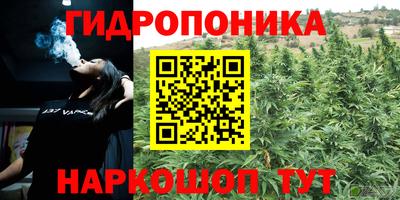 Альфа ПВП Можга