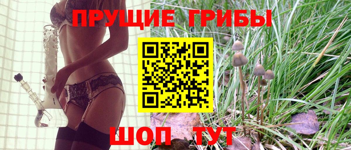 Псилоцибиновые грибы Magic Shrooms Верхняя Пышма