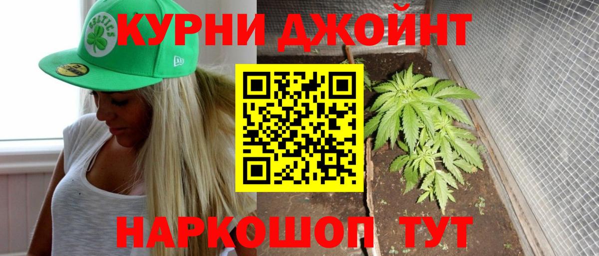 Конопля семена  Вход с VPN  Верхняя Пышма  Каннабис семена  Конопля Bruce Banner 